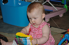 Your Baby Can Read! southernsceneimages